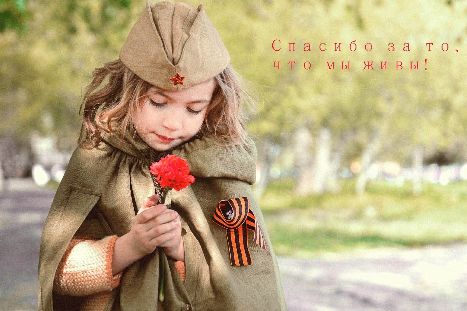 Под солнцем победы. Под солнцем победы