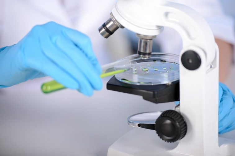 Созданы флуоресцентные красители для медицинской диагностики