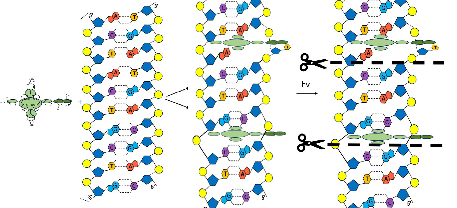 Ивановские химики получили соединение для создания лекарств нового поколения