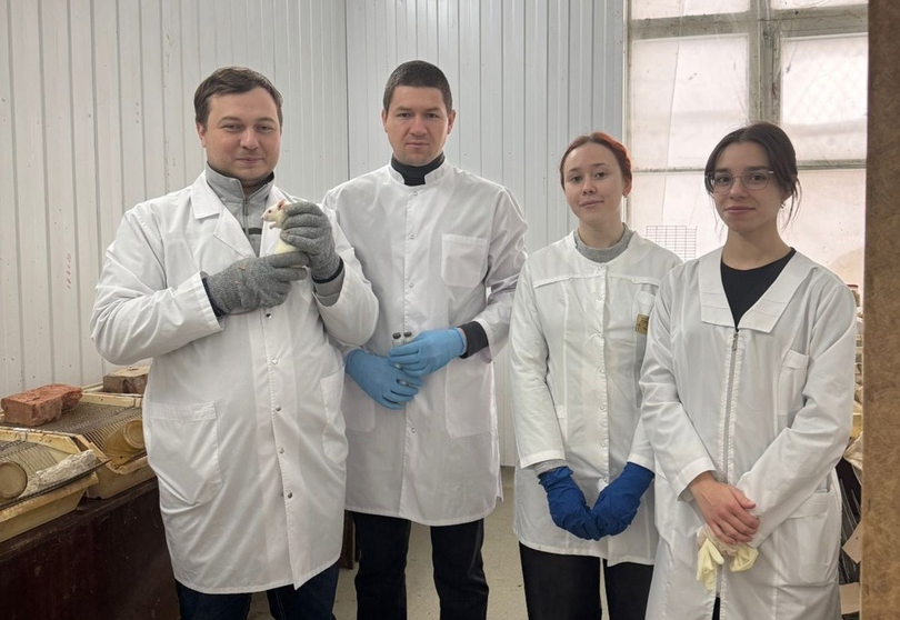 В ПГУ создали противовоспалительный гель на основе экстракта гречихи